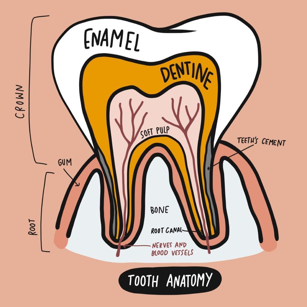 root canal cartoon drawing
