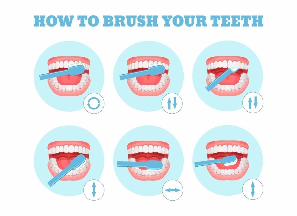 Diagram showing how to brush teeth