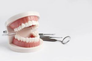 Dental Mouth Model