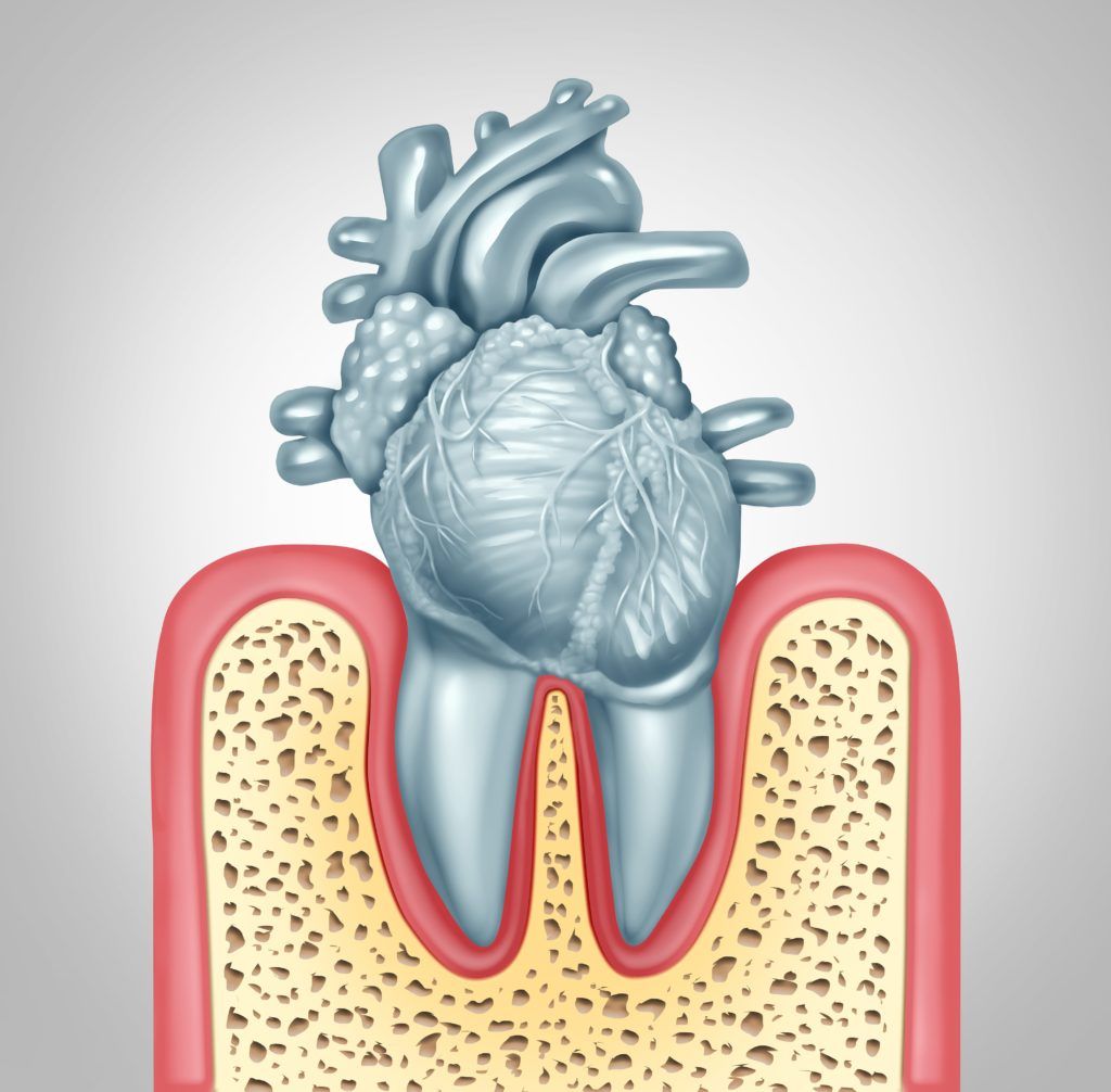 A human heart in a tooth socket to symbolize the interaction between oral and overall health