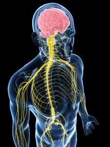 Spinal Cord Stimulation - Delaware Valley Pain & Spine InstituteChalfont  Pain Management