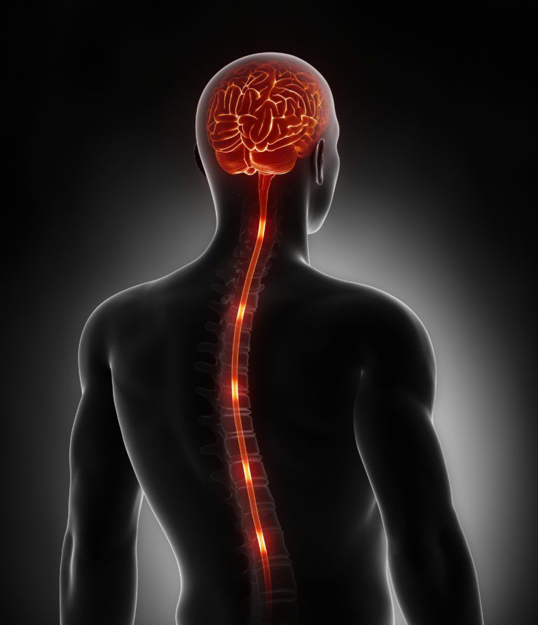 Spinal Cord Stimulation Therapy for Chronic Pain