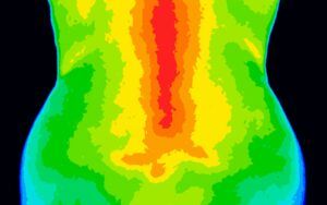 Thermal Image of Lower Back