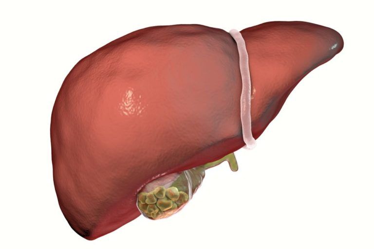 gall bladder