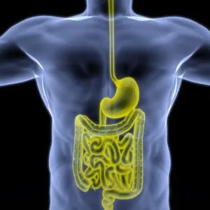 Gastroenterology - Andover Surgical Associates — Gastroenterology clinic in Andover, MA — photo 5
