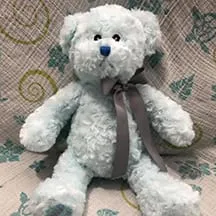 WeightedBear