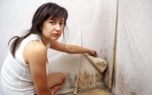Woman revealing black mold behind wallpaper